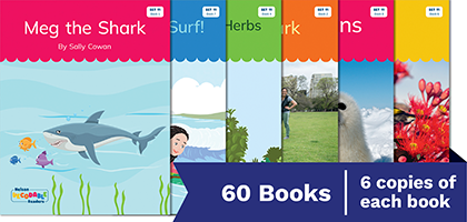 Nelson Decodable Readers Set 11 Small Group Pack