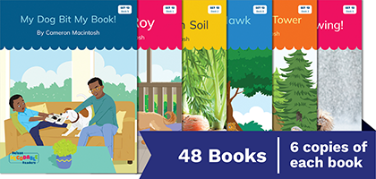 Nelson Decodable Readers Set 13 Small Group Pack