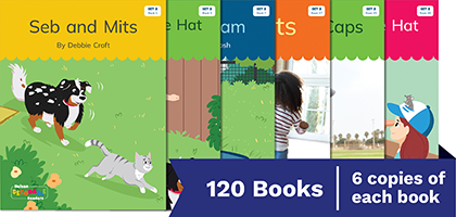 Nelson Decodable Readers Set 2 small group pack