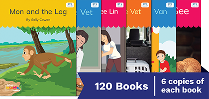 Nelson Decodable Readers Set 4 small group pack